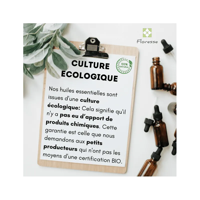 Huile Essentielle de CYPRES  10 ml
