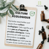 Huile Essentielle de GAULTHERIE COUCHEE  10 ml