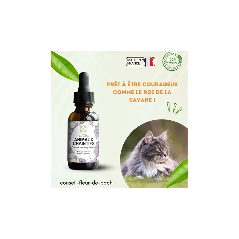 Fleurs de Bach calment et rassurent les Animaux Craintifs-Peureux
