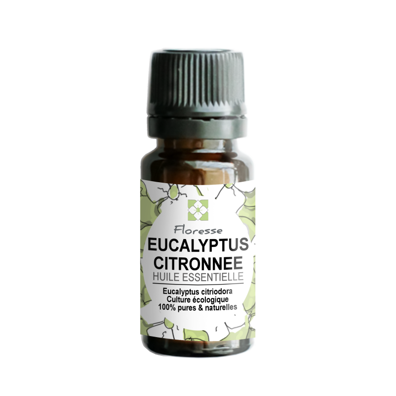 Huile essentielle d'Eucalyptus citronné : le flacon de 10 ml à