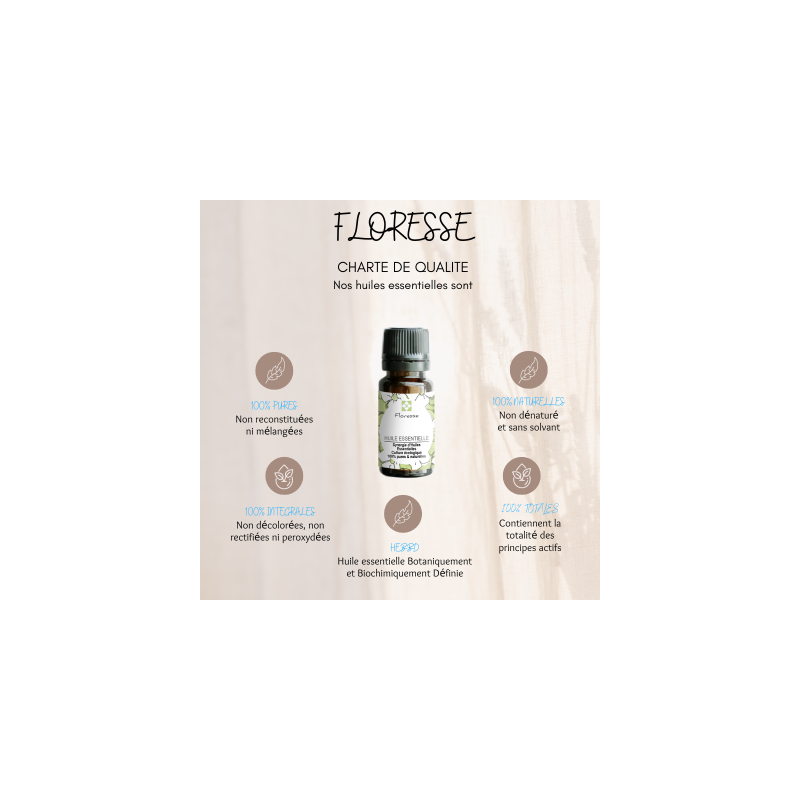 FLORESSE - Huile essentielle de CAJEPUT - 100% Pure, Naturelle, Intégrale.