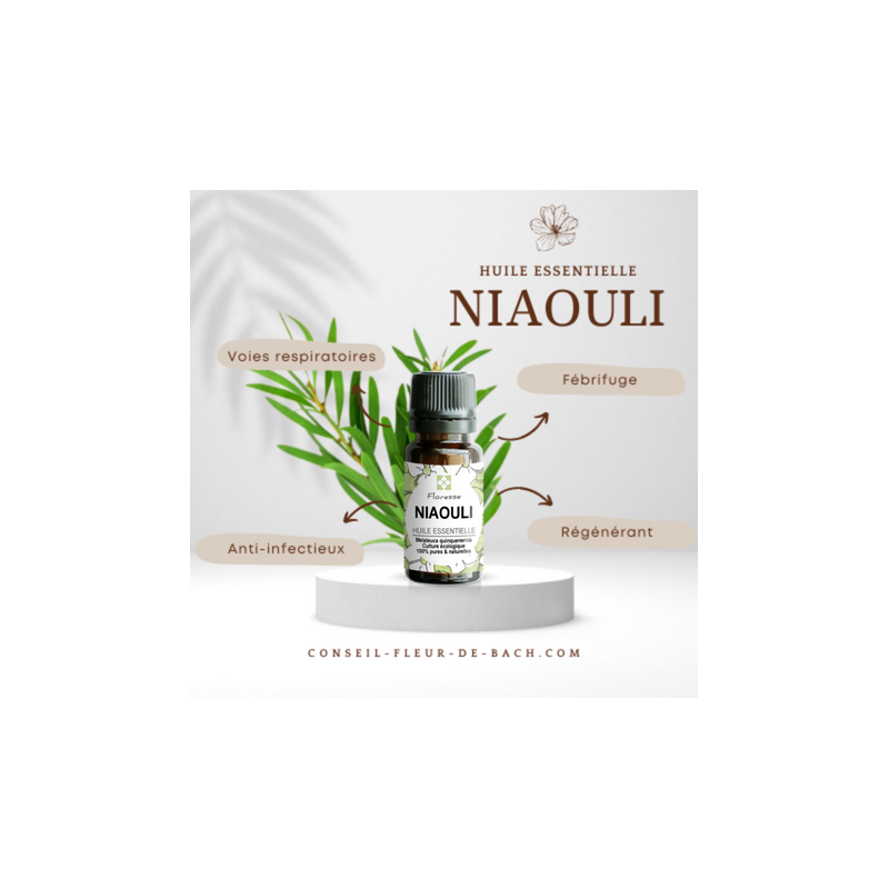Huile essentielle de Niaouli - 100% Pure, Naturelle, Intégrale. FLORESSE