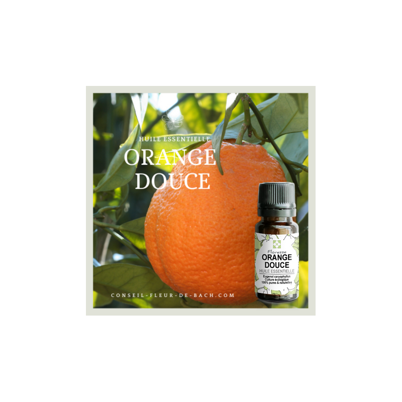 Huile essentielle d' Orange - 100% Pure, Naturelle, Intégrale. FLORESSE
