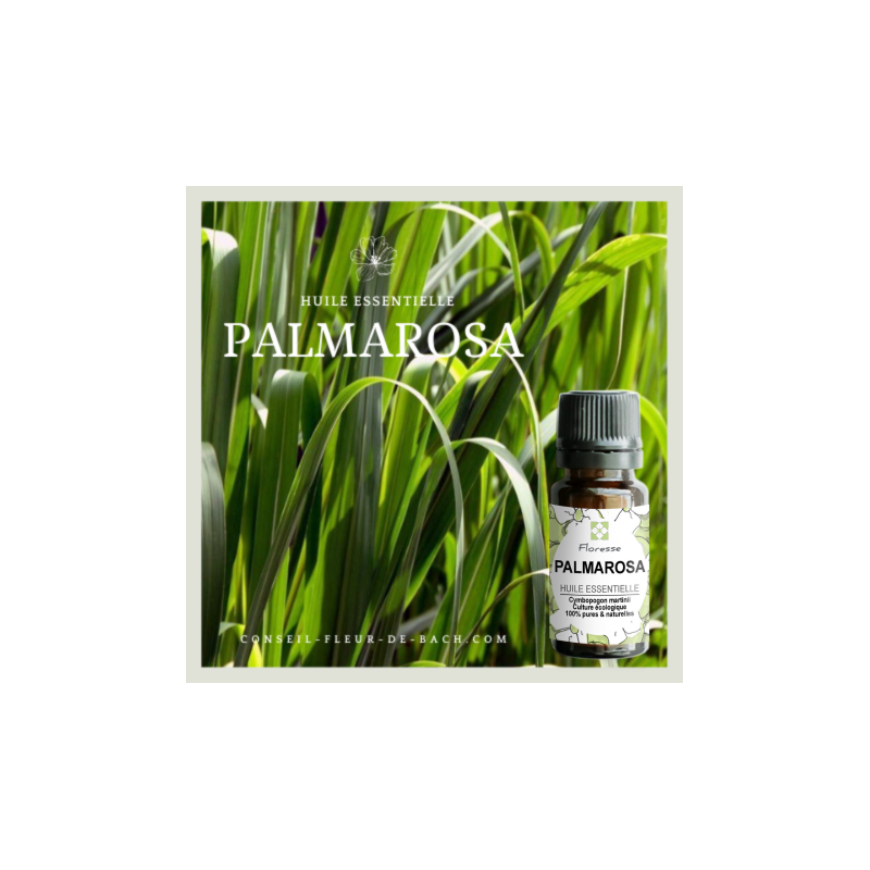 Huile essentielle de PALMAROSA - 100% Pure, Naturelle, Intégrale. - FLORESSE