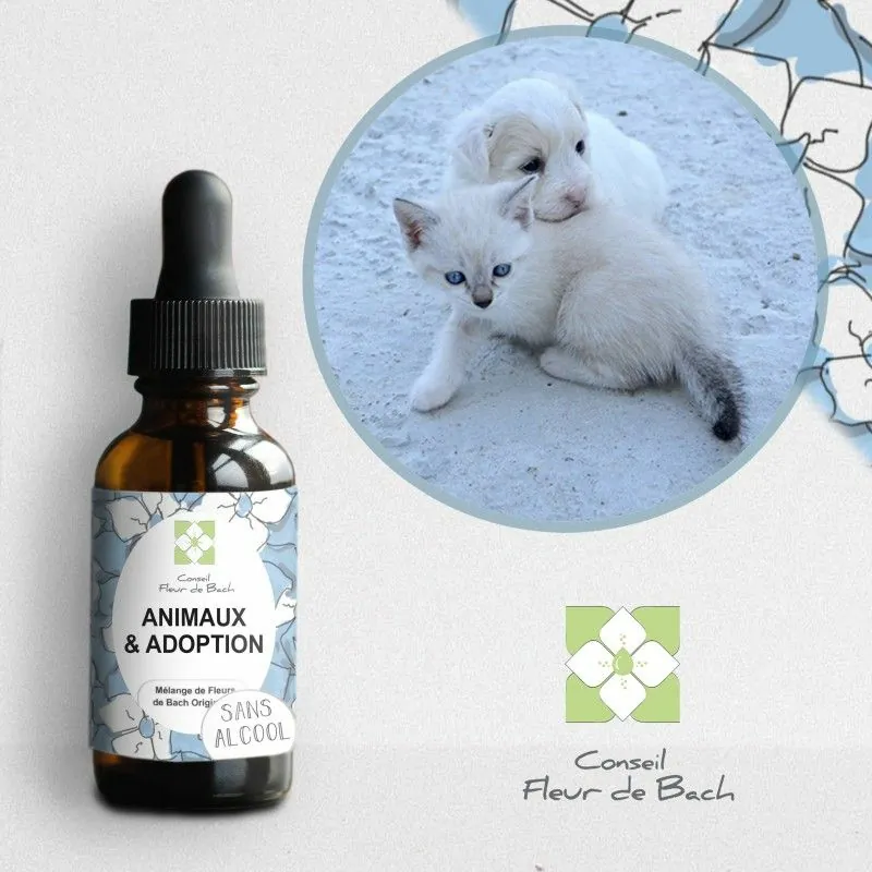 Fleurs de Bach Animaux Adoption Sans Alcool - Un mélange efficace pour son bien-être