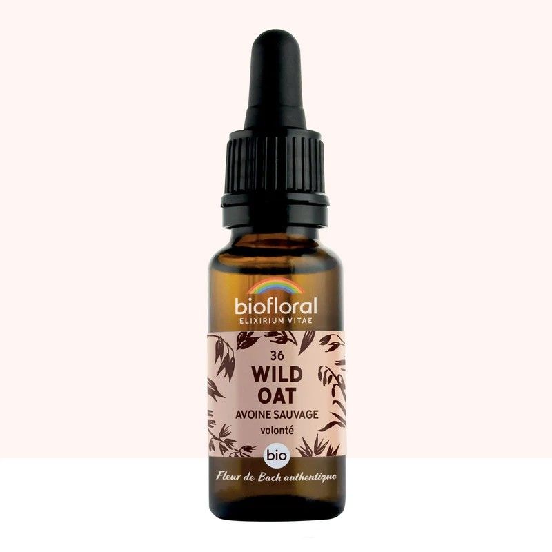 Fleur de Bach Wild Oat Originale - 2 conseil-fleur-de-bach