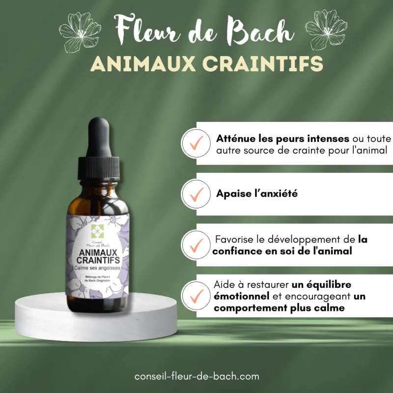 Fleurs de Bach calment et rassurent les Animaux Craintifs-Peureux
