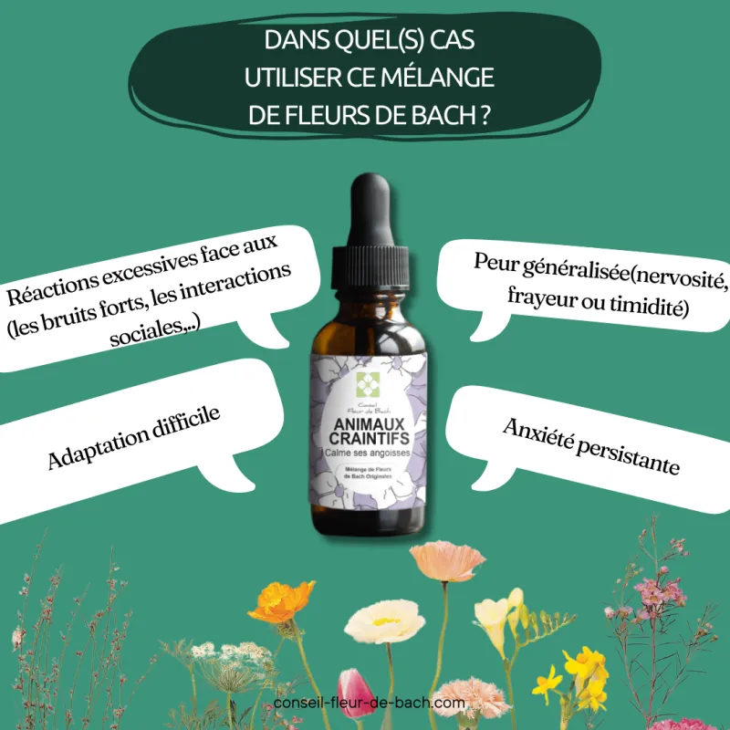 Fleurs de Bach calment et rassurent les Animaux Craintifs-Peureux