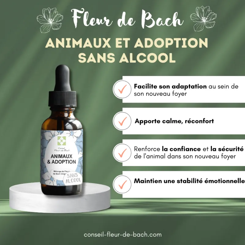 Fleurs de Bach Animaux Adoption Sans Alcool - Un mélange efficace pour son bien-être