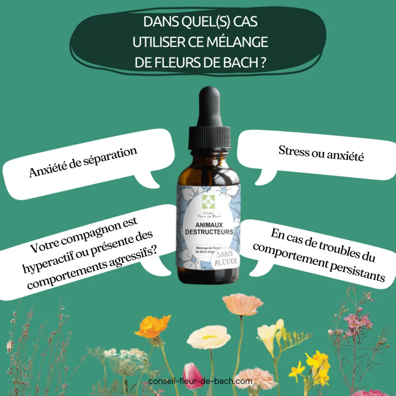 Fleurs de Bach Animaux Adoption Sans Alcool - Un mélange efficace pour son bien-être