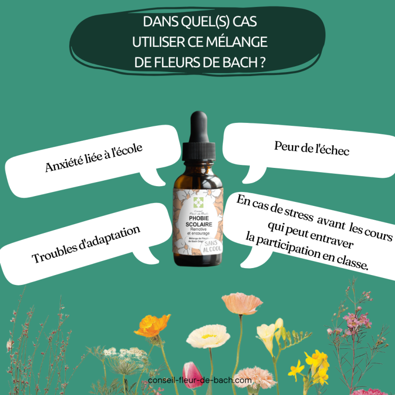 Mélange Fleurs de Bach® Original - « Phobies scolaires »  pour enfant (sans alcool)