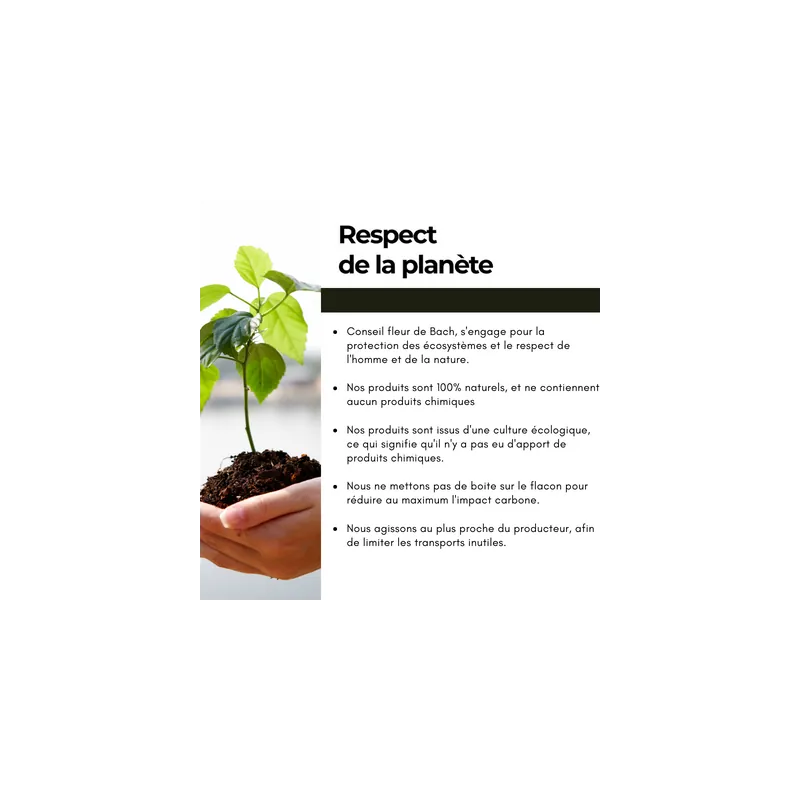 Fleurs de Bach Epuisement