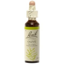 Fleur de Bach Olive Originale - 23 conseil-fleur-de-bach