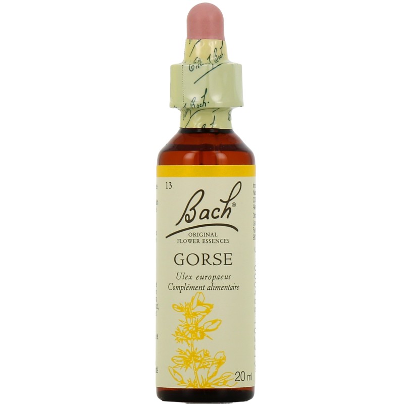 Fleur de Bach Gorse Originale - 13 conseil-fleur-de-bach