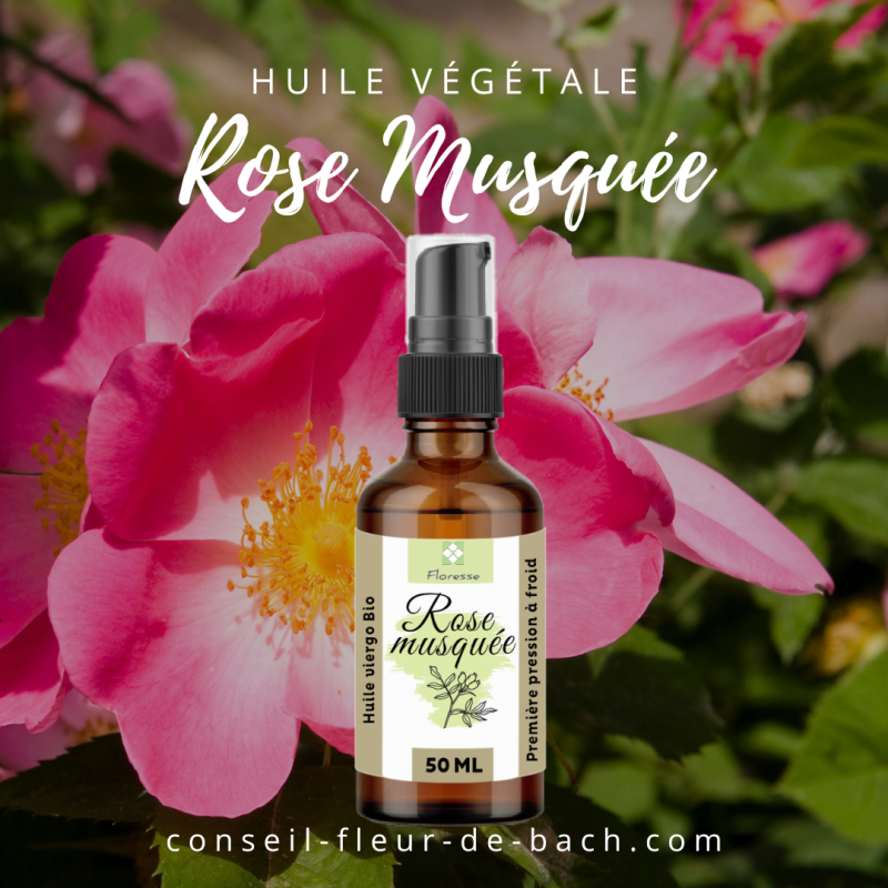 Huile Végétale de Rose Musquée BIO