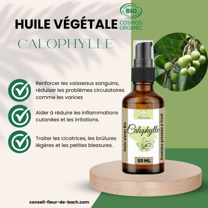 Huile Végétale de Calophylle BIO ( TAMANU)