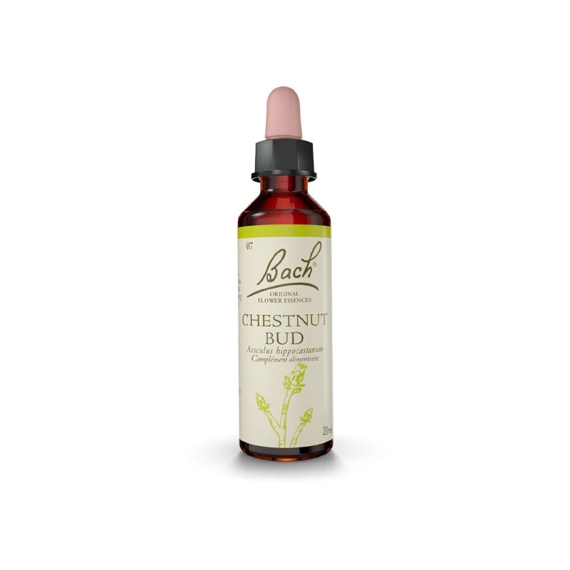 Fleur de Bach Chestnut bud Originale - 7 conseil-fleur-de-bach