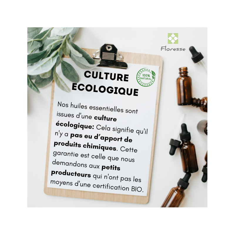 MACERAT HUILEUX DE CAROTTE BIO