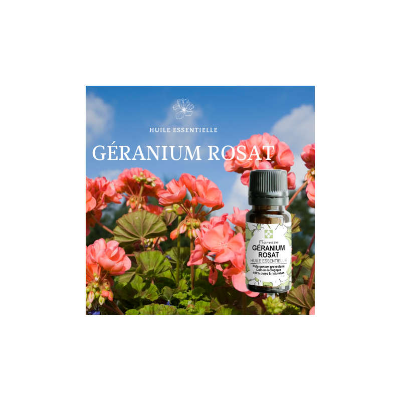 Huile Essentielle de GERANIUM ROSAT