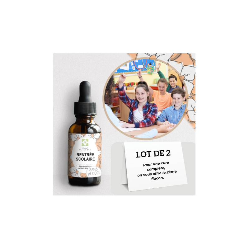Fleurs de Bach Rentrée Scolaire pour gérer la rentrée des classes sereinement