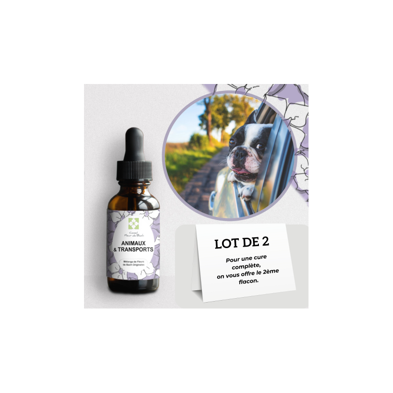 Fleurs de Bach pour le mal des transports des animaux- Voyagez serein