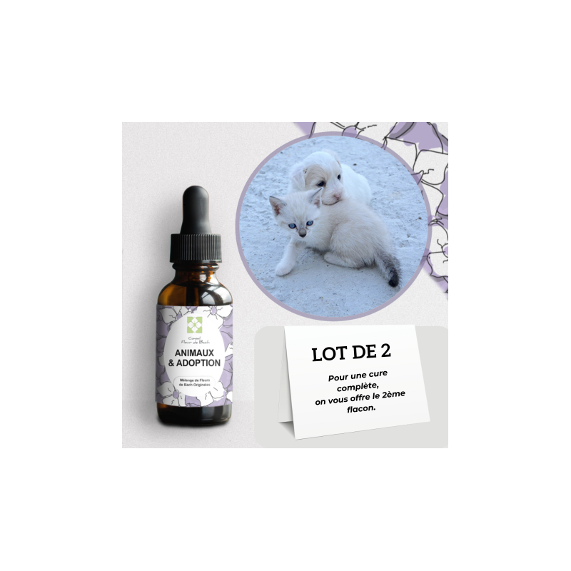 Fleurs de Bach Animaux Adoption un mélange efficace pour son bien-être