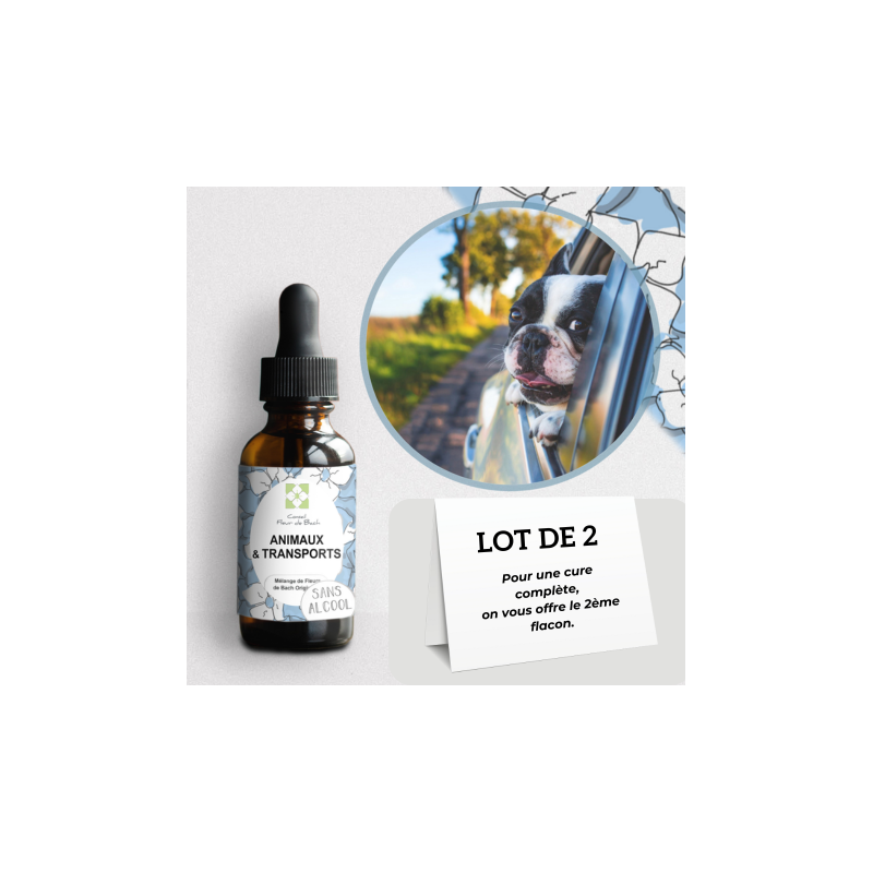 Fleurs de Bach pour le mal des transports des animaux- Voyagez serein