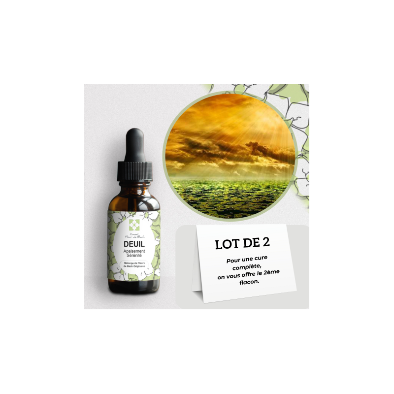 Fleurs de bach Deuil-Décès pour vous aider à passer cette étape