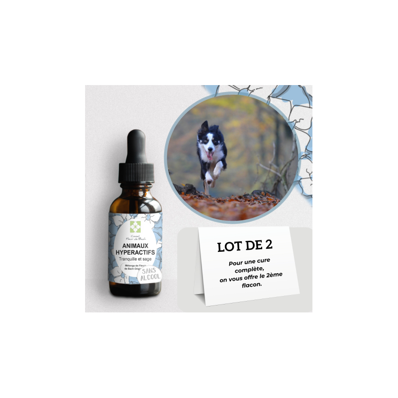 Fleurs de Bach Animaux Hyperactifs Sans Alcool- un mélange Efficace et Naturel