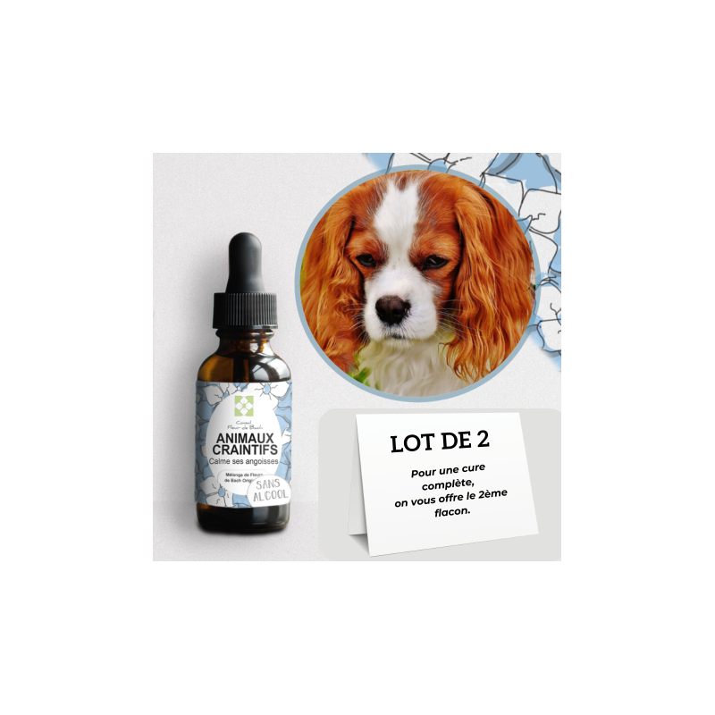 Fleurs de Bach calment et rassurent les Animaux Craintifs-Peureux