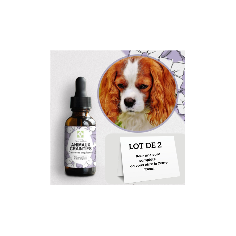 Fleurs de Bach calment et rassurent les Animaux Craintifs-Peureux