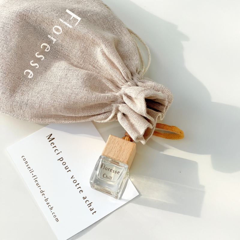 Diffuseur d'Huiles essentielles voiture