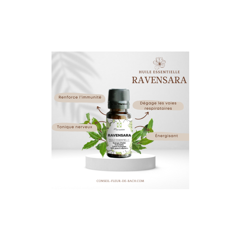 Huile Essentielle de RAVENSARA