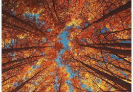 L’impact des couleurs et de l’environnement sur notre humeur : ce que nous ressentons sans toujours le savoir