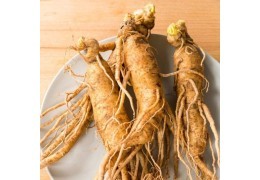 Ginseng : un trésor naturel pour le corps et l’esprit