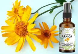 l'Huile Végétale d'Arnica  - Révélation des Merveilles : Votre Clé pour la Santé et la Beauté  - Blog d'Angélique