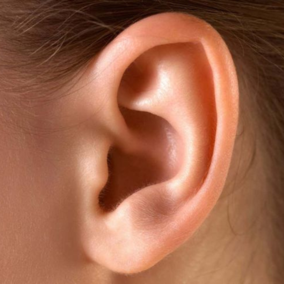 Acouphènes : causes, types et solutions naturelles