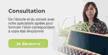 CONSULTATIONS