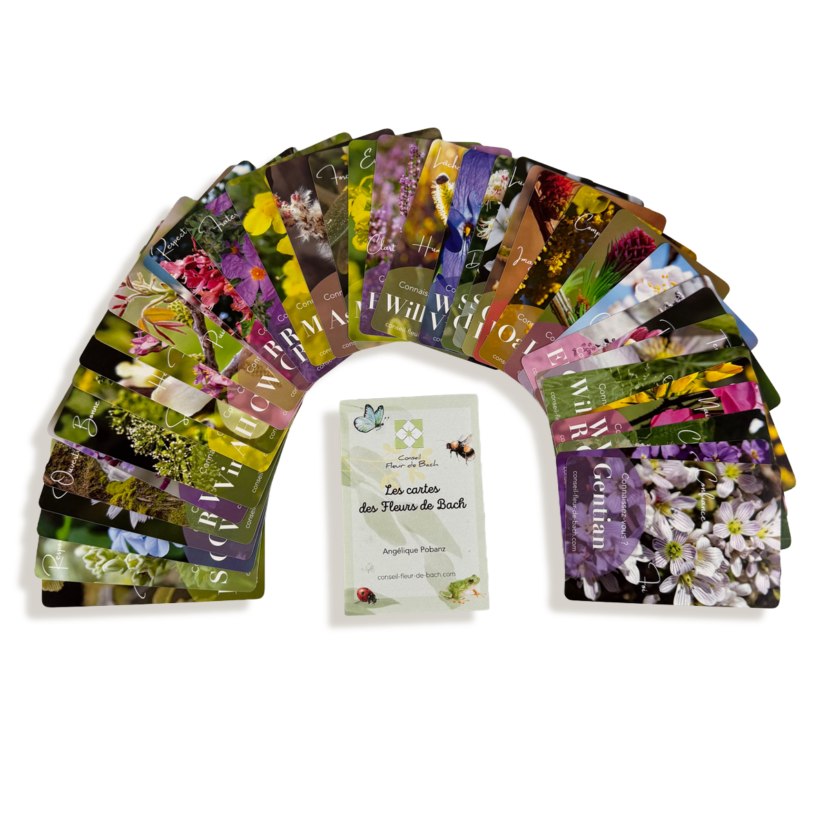 Cartes de Fleurs de Bach – Jeu de guidance émotionnelle
