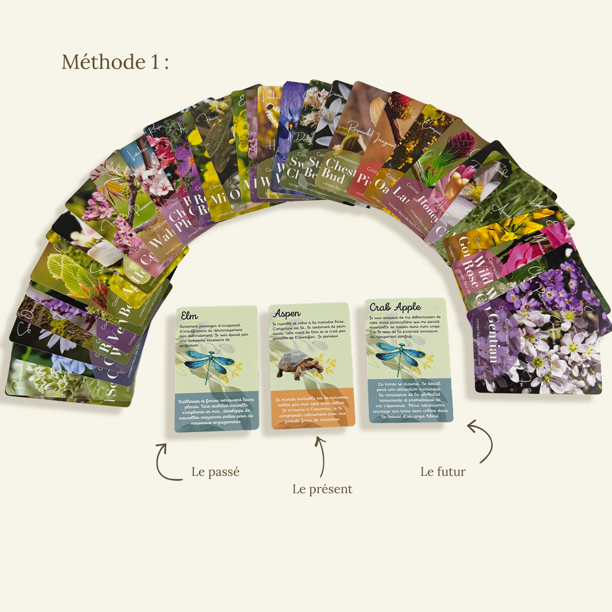 Cartes de Fleurs de Bach – Jeu de guidance émotionnelle