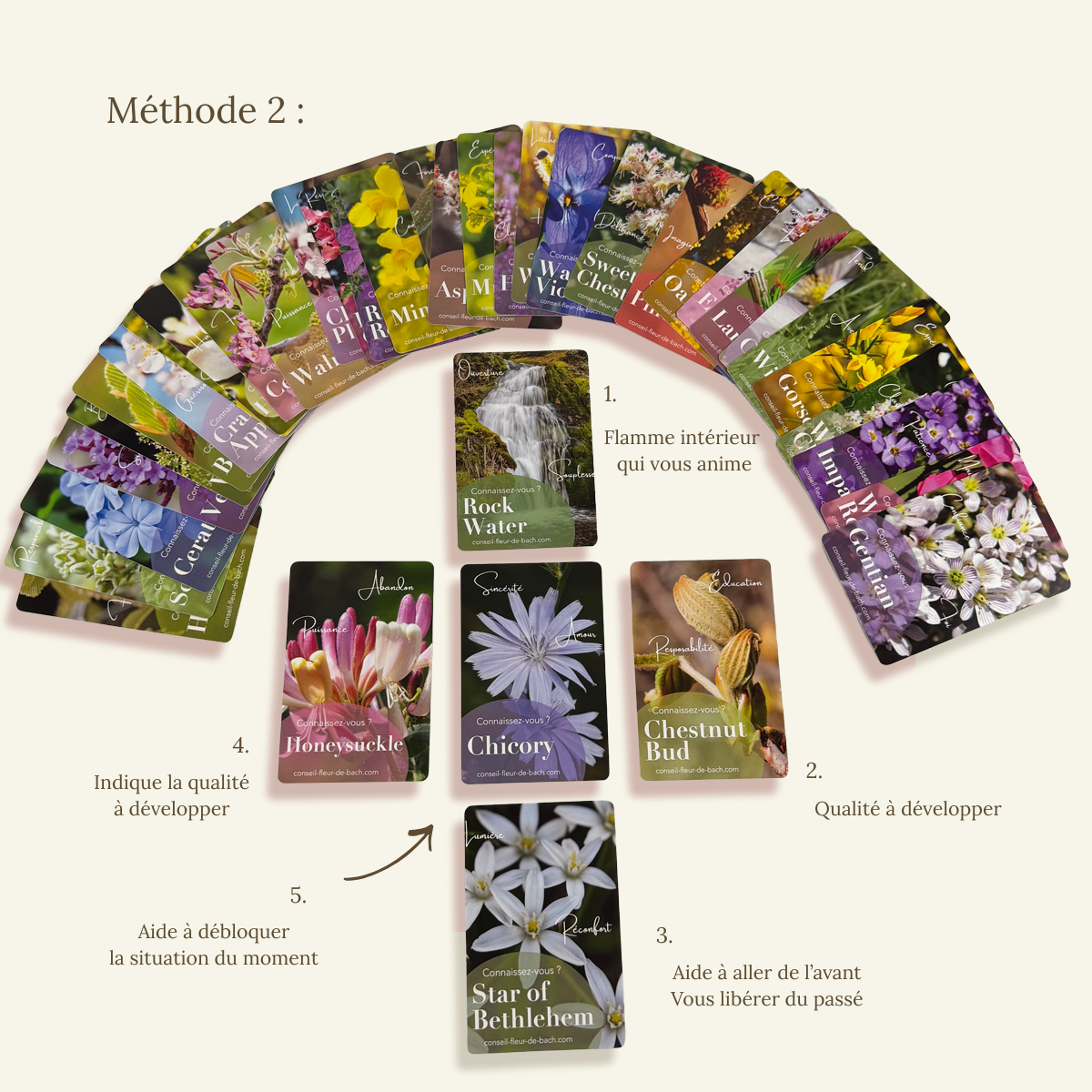 Tarjetas de Flores de Bach – Juego de guía emocional
