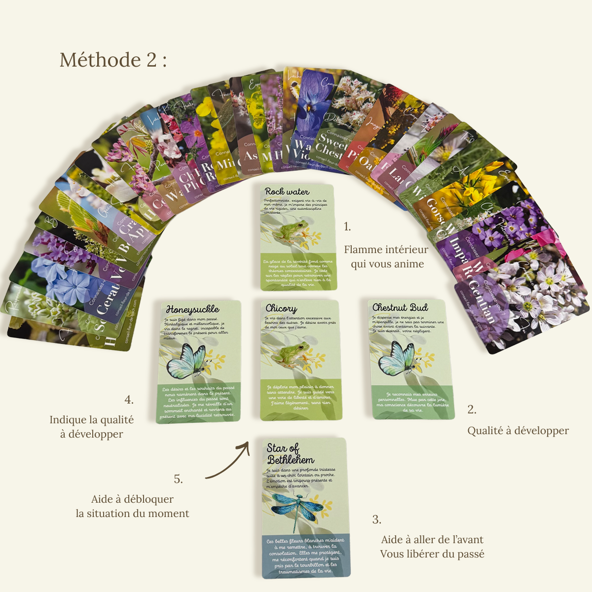 Tarjetas de Flores de Bach – Juego de guía emocional