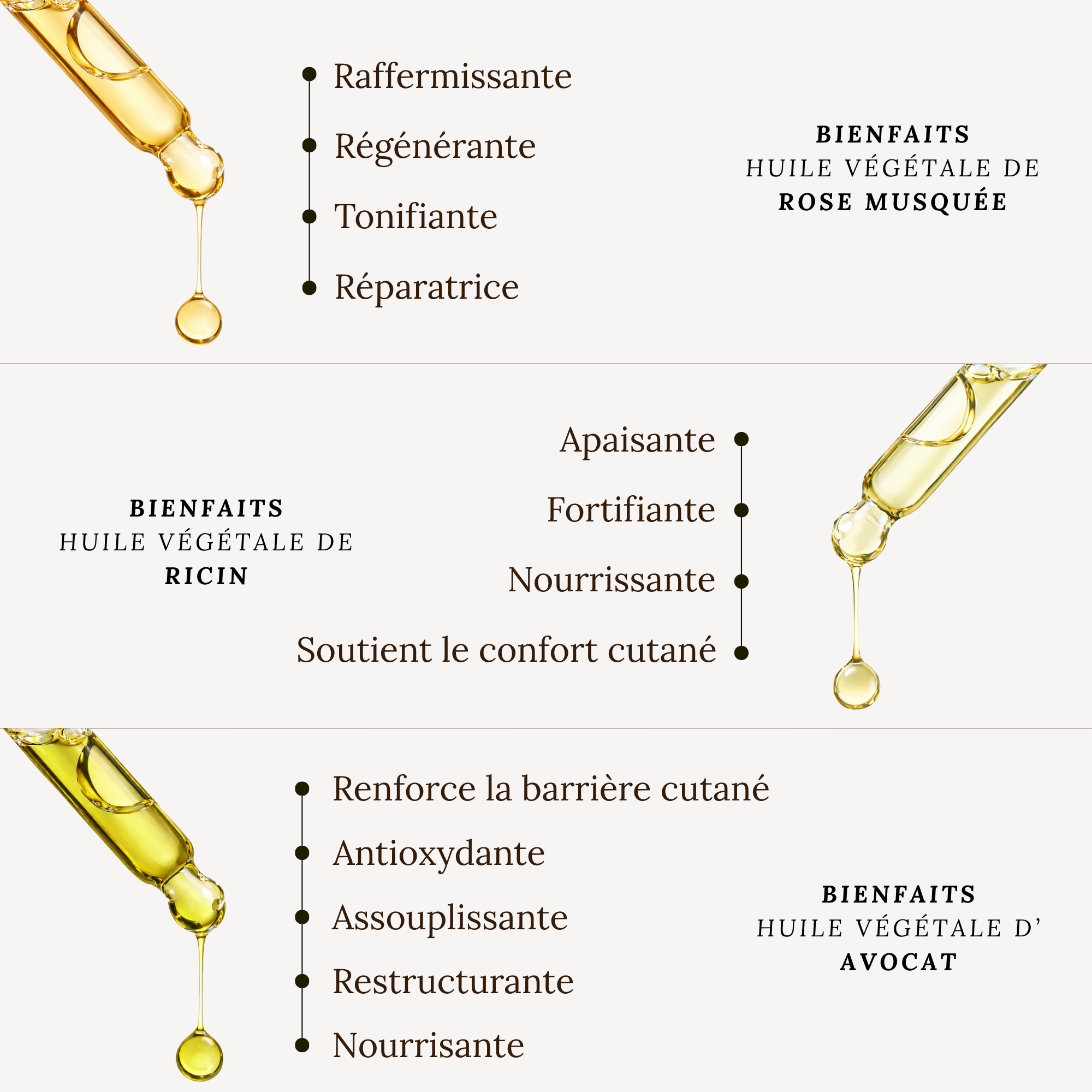 SET ANTIARRUGAS - TRÍO DE ACEITES VEGETALES + GUA SHA