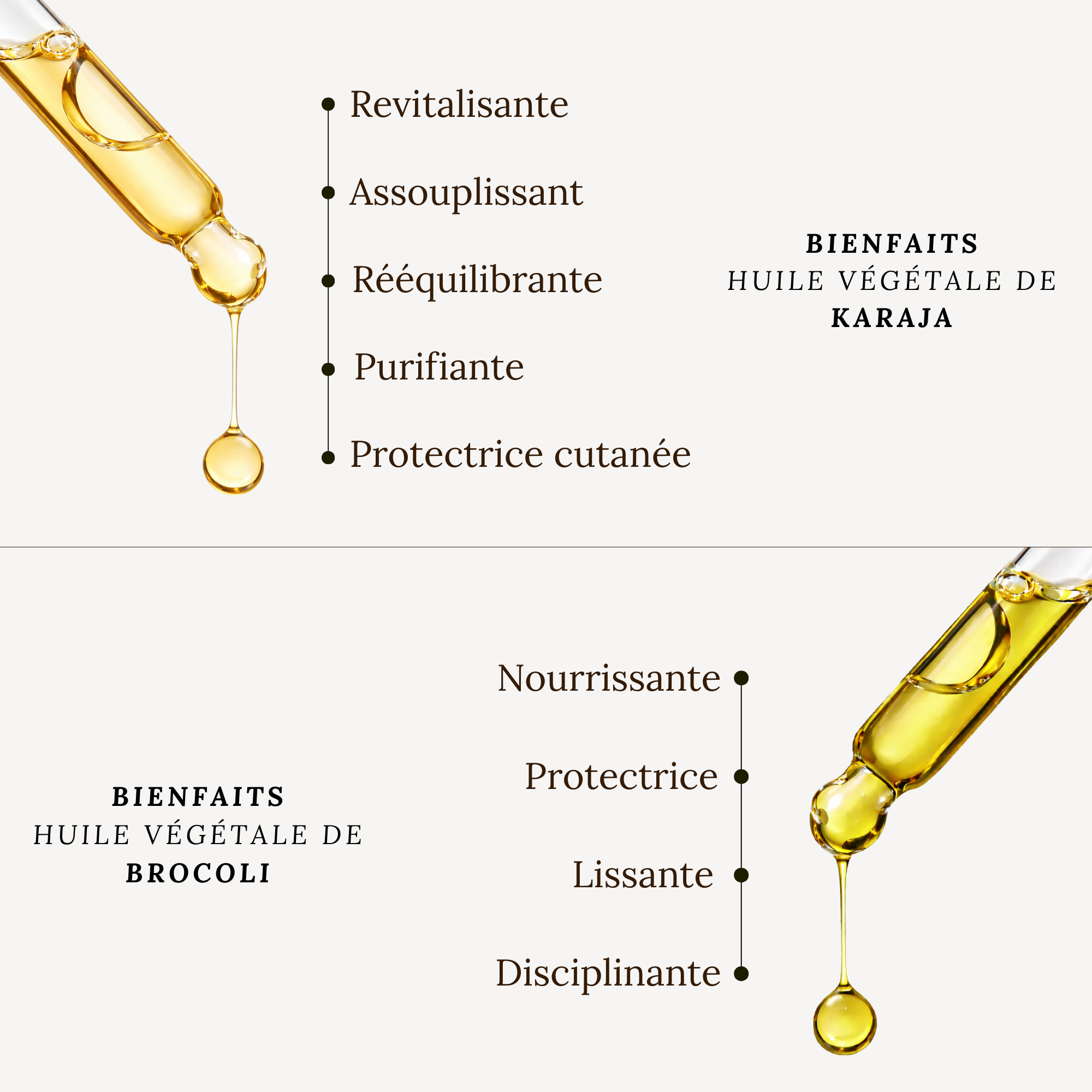 ESTUCHE CABELLO RADIANTE - DÚO ACEITES VEGETALES