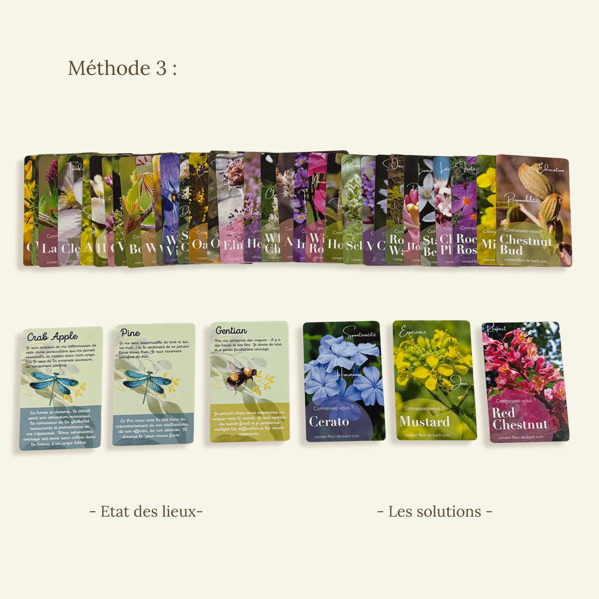 Tarjetas de Flores de Bach – Juego de guía emocional