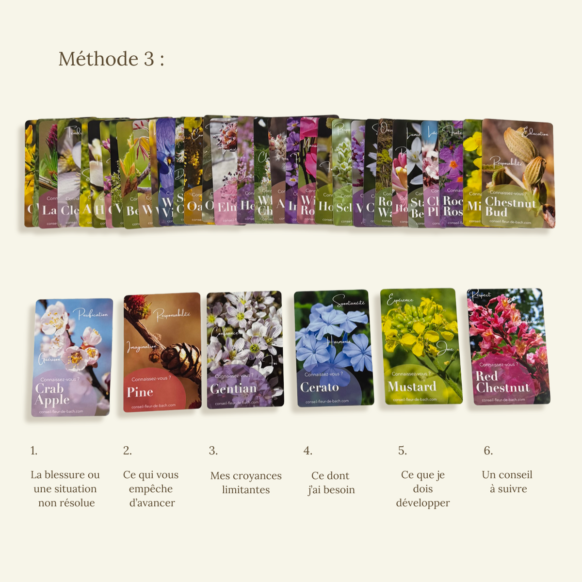 Tarjetas de Flores de Bach – Juego de guía emocional
