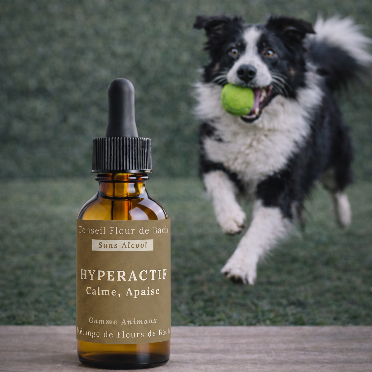 Remedios florales de Bach para animales hiperactivos - Sin alcohol