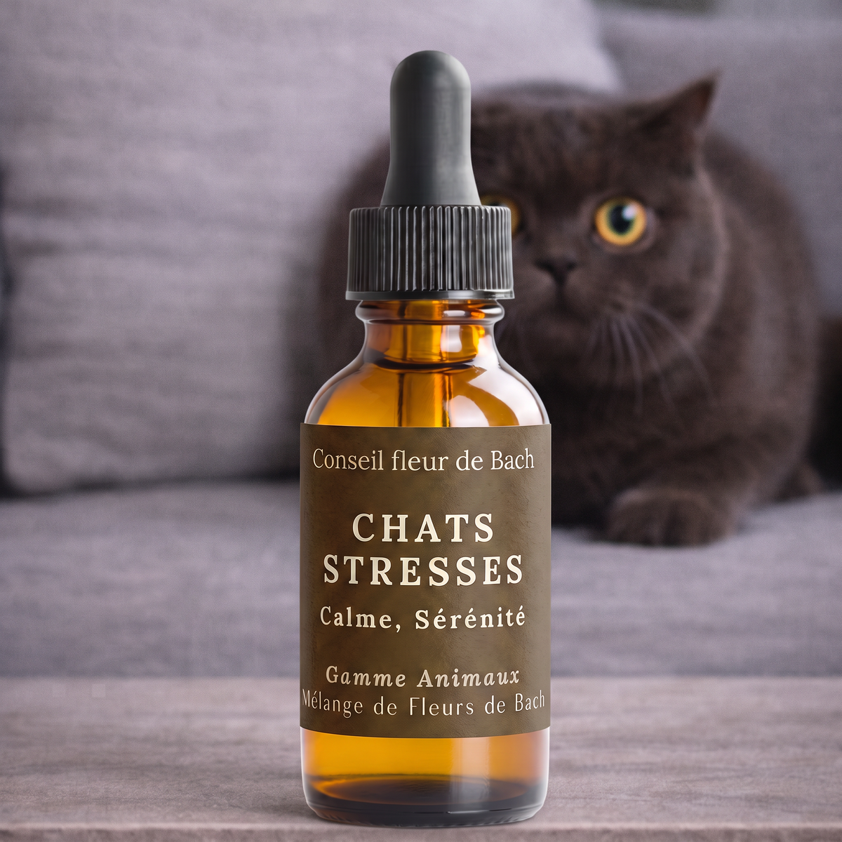 Fleurs de Bach Chat Stressé