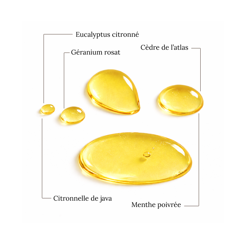 MOUSTIQUE - Mélange d'Huiles essentielles en diffusion pour insectes - 20 ML