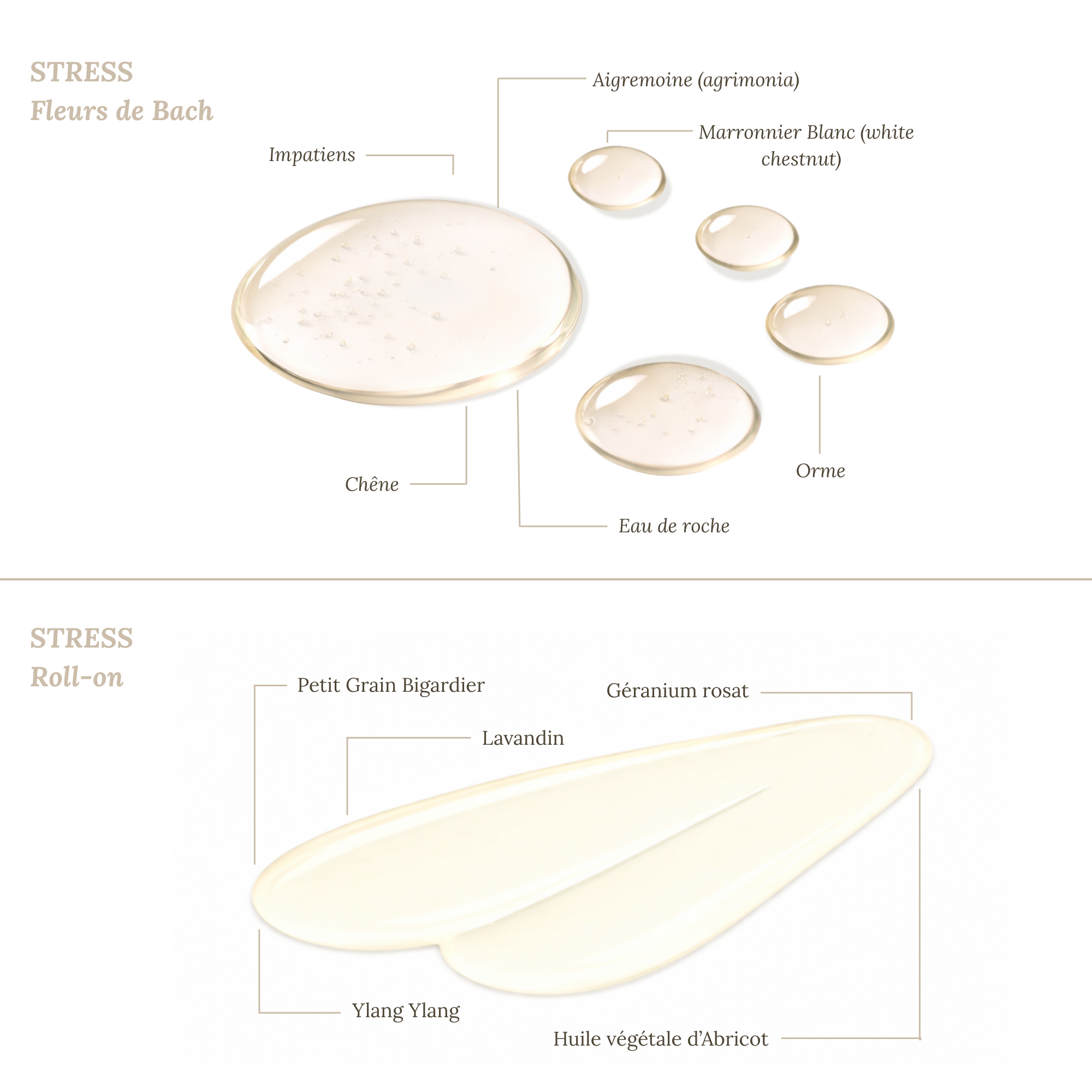 Duo STRESS Fleurs de Bach et Huiles Essentielles